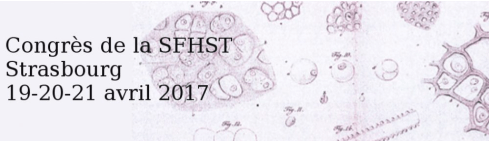 screenshot-from-2016-12-05-14-25-37