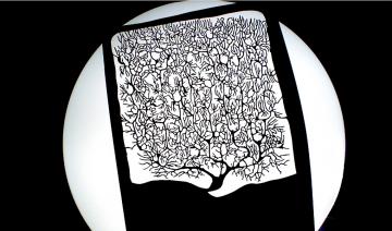 mind_reading_conferenc